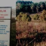 Screenshot_20250411-053053_Samsung Internet